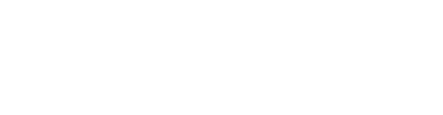 Finnet