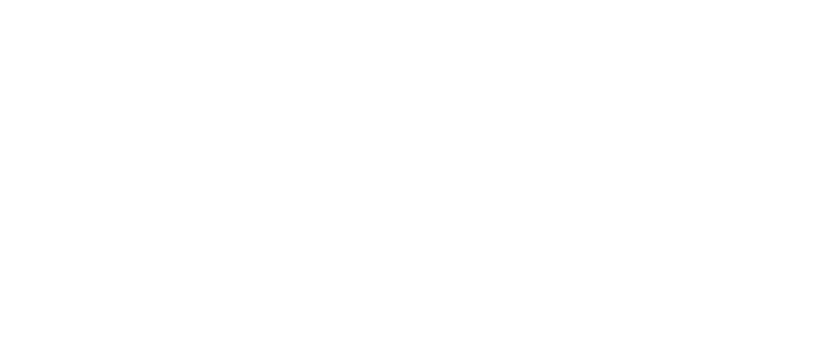 Ápice